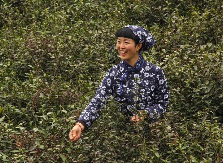 嘴唇直播下载 午夜密语